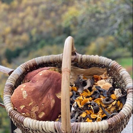 Domaine Le Verdier Saint-Michel-de-Dèze المظهر الخارجي الصورة
