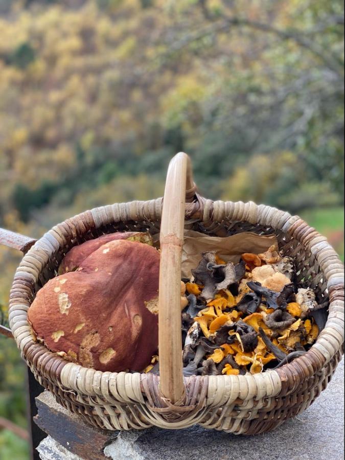 Domaine Le Verdier Saint-Michel-de-Dèze المظهر الخارجي الصورة